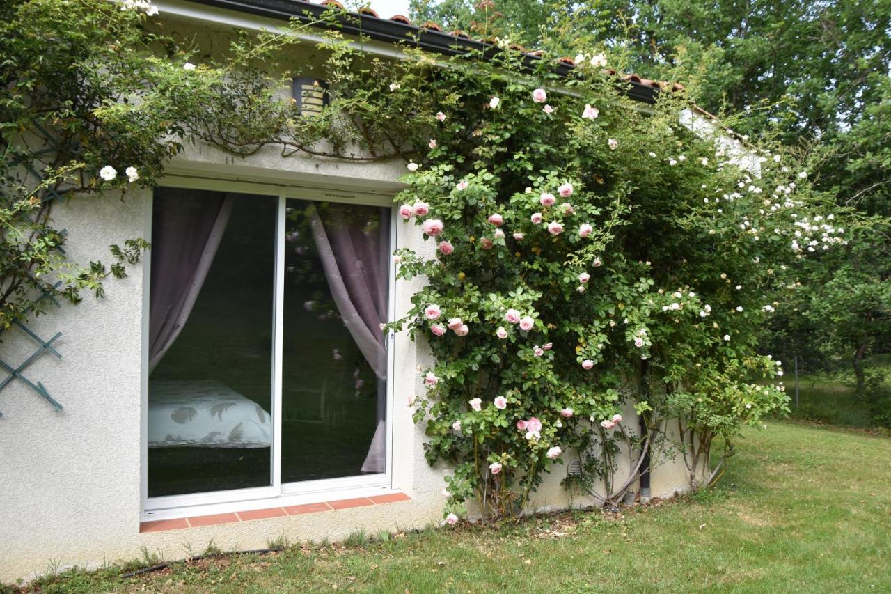 La Maison D'Isabel 蒙托邦 外观 照片