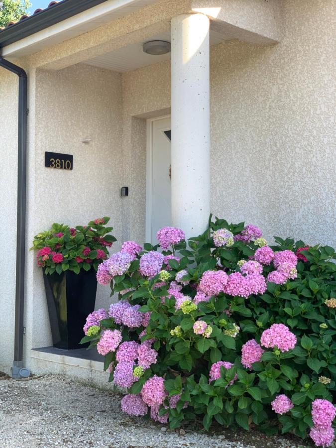 La Maison D'Isabel 蒙托邦 外观 照片